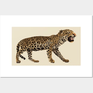 A Leopard Never Changes Its Spots Posters and Art